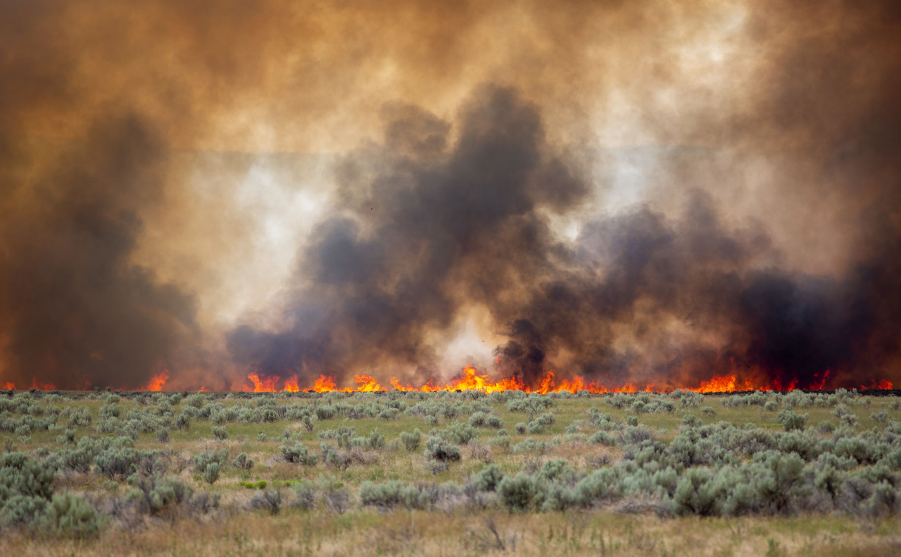 Wildfire burns near Declo